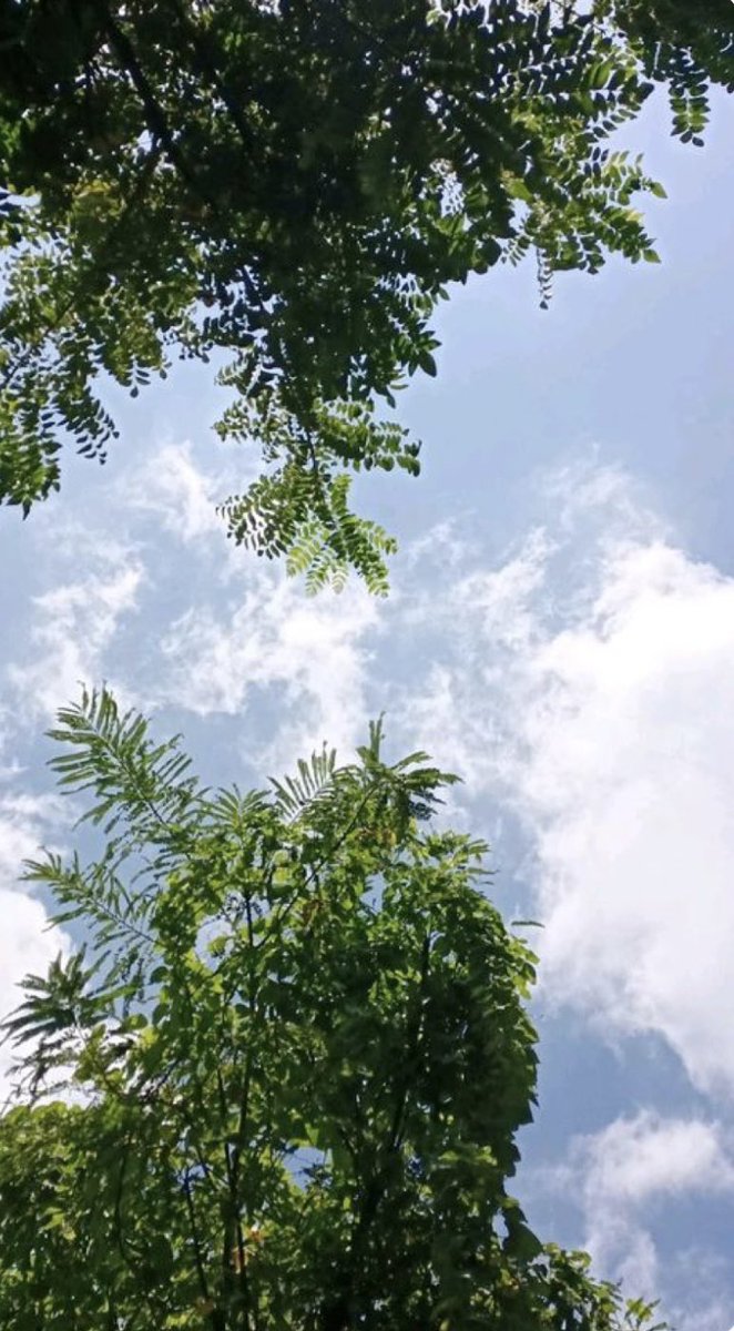 The universe is so beautiful 
Nature is kind and generous 
#NatureLovers 
#naturegift