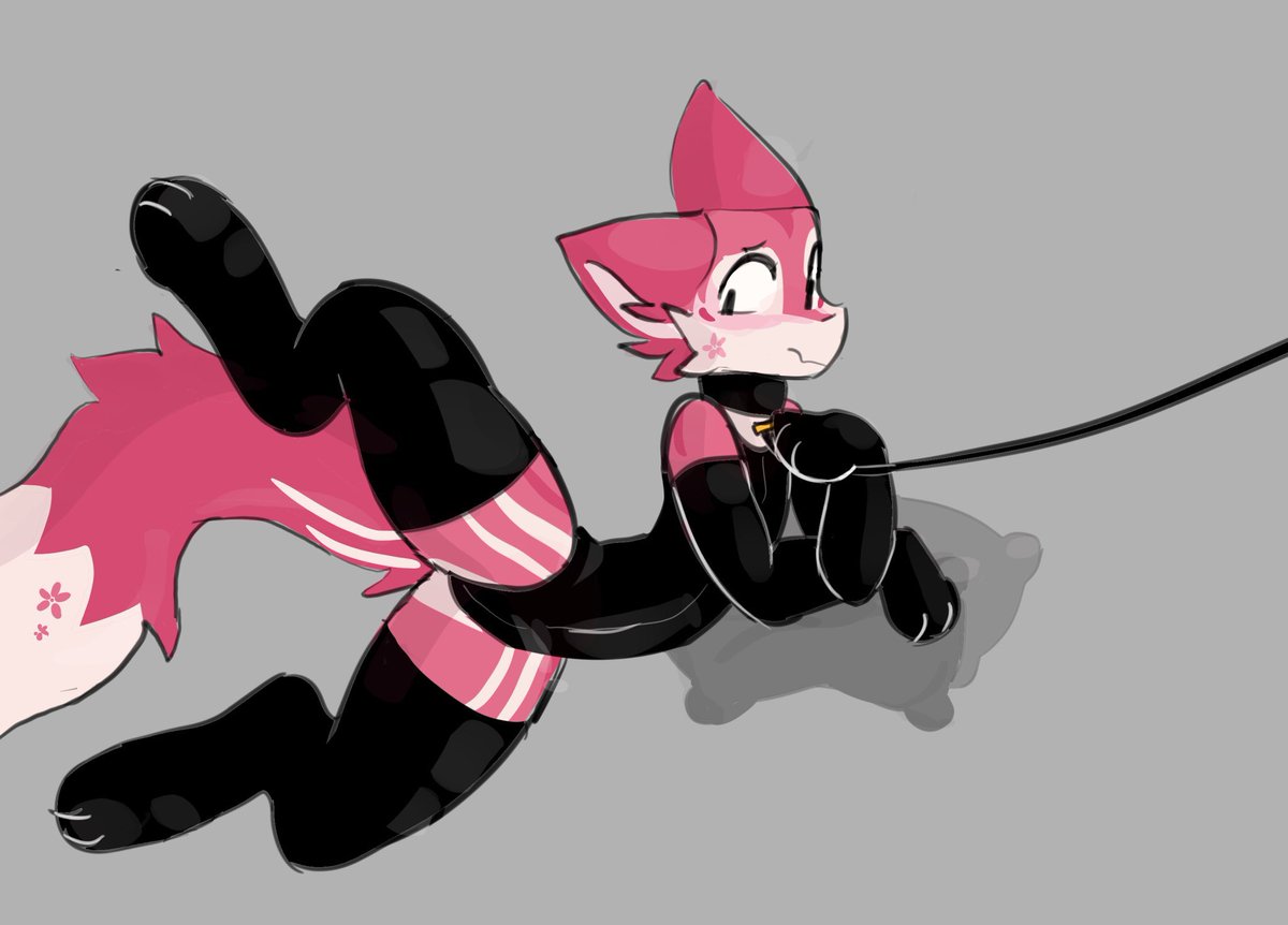 Bo_plap's tweet image. Leashed