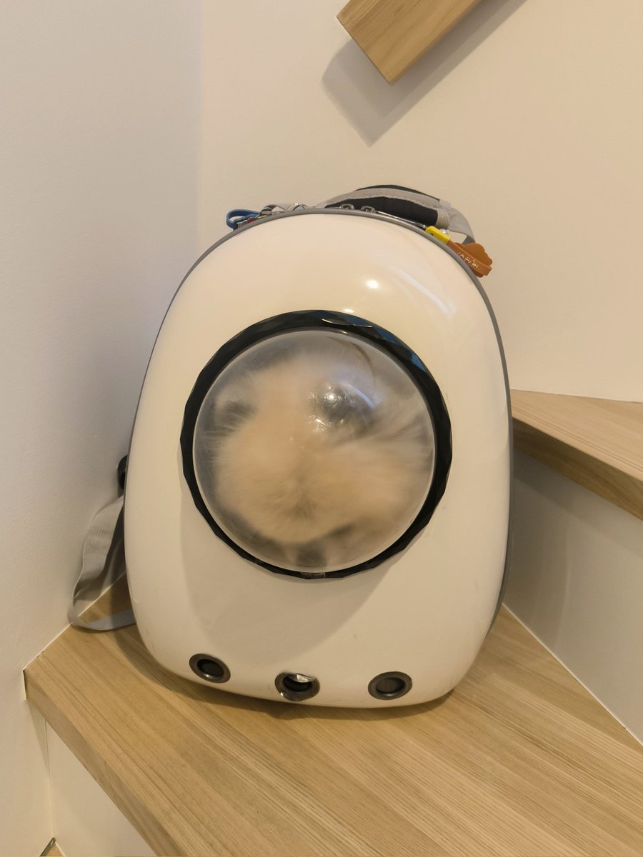 病院に

←行く前　　　　行った後→