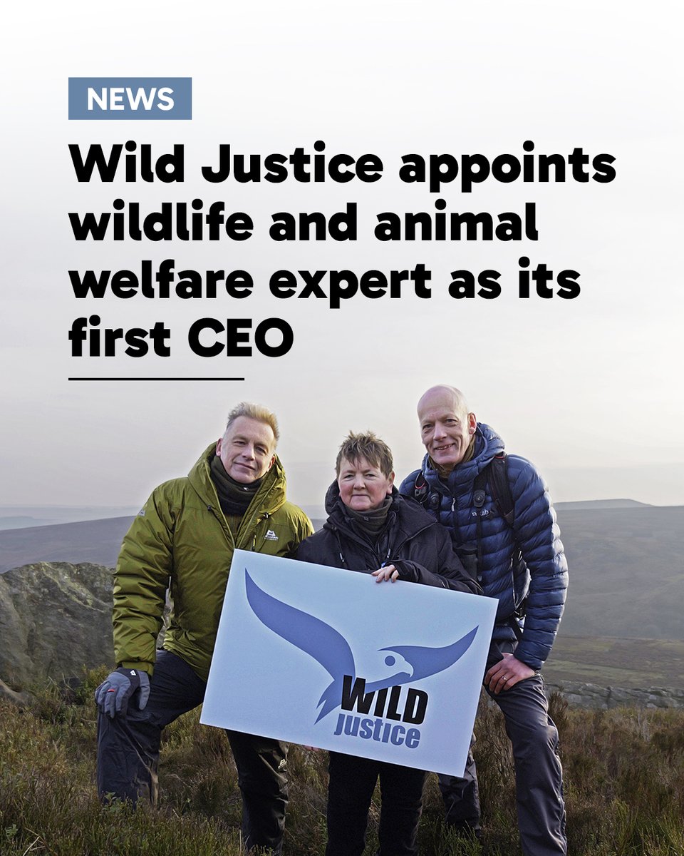 NEWS: Wild Justice are pleased to announce our first CEO. 

Bob Elliot, wildlife and animal welfare expert, will be joining us this spring.

Read the full update on our blog: wildjustice.org.uk/general/wild-j…