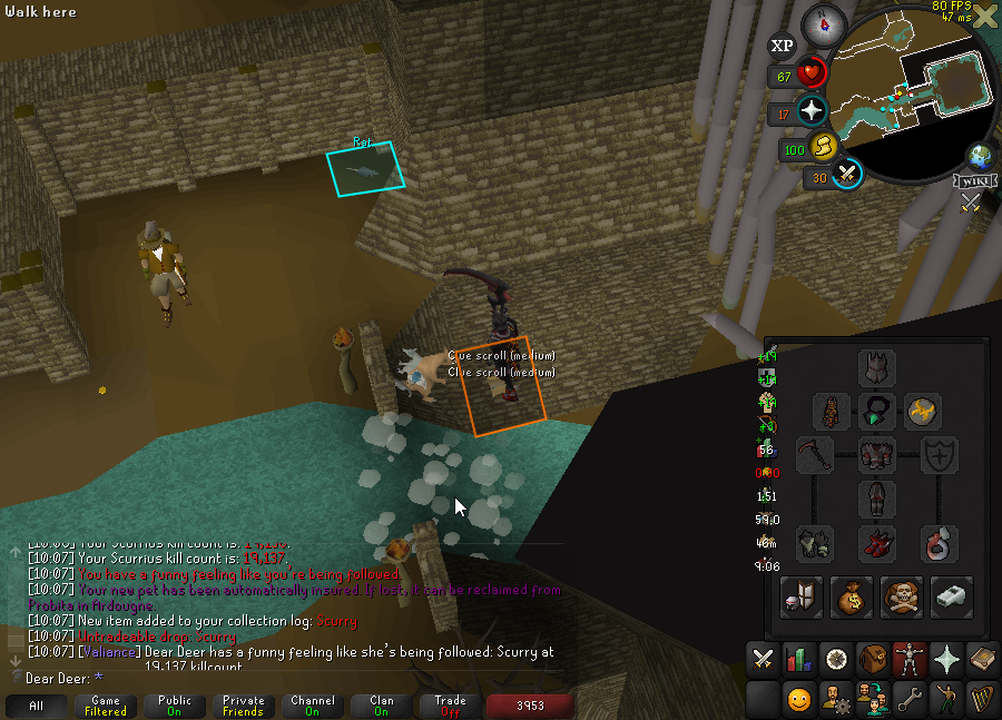 Pet #51😊