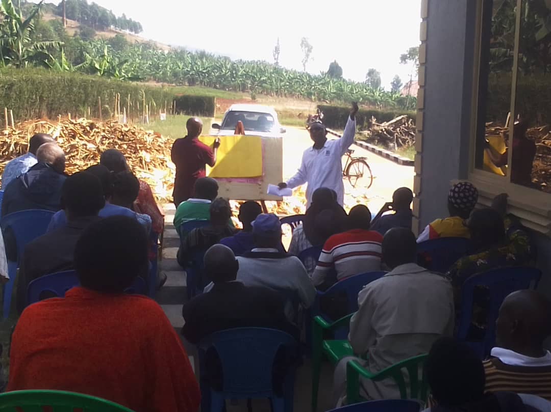 Turyareeba milton (@mturyareeba) on Twitter photo 