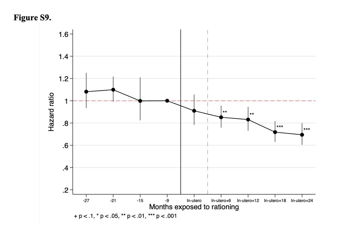 Jonatan Pallesen tweet media