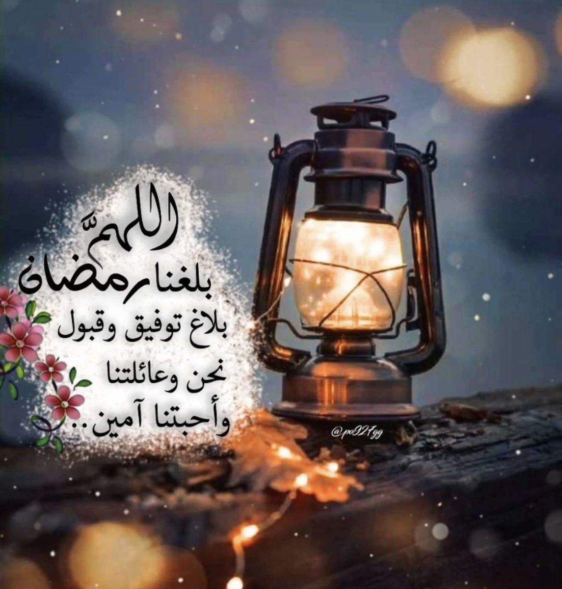 شذا 🦋 (@m_nqaa) on Twitter photo 