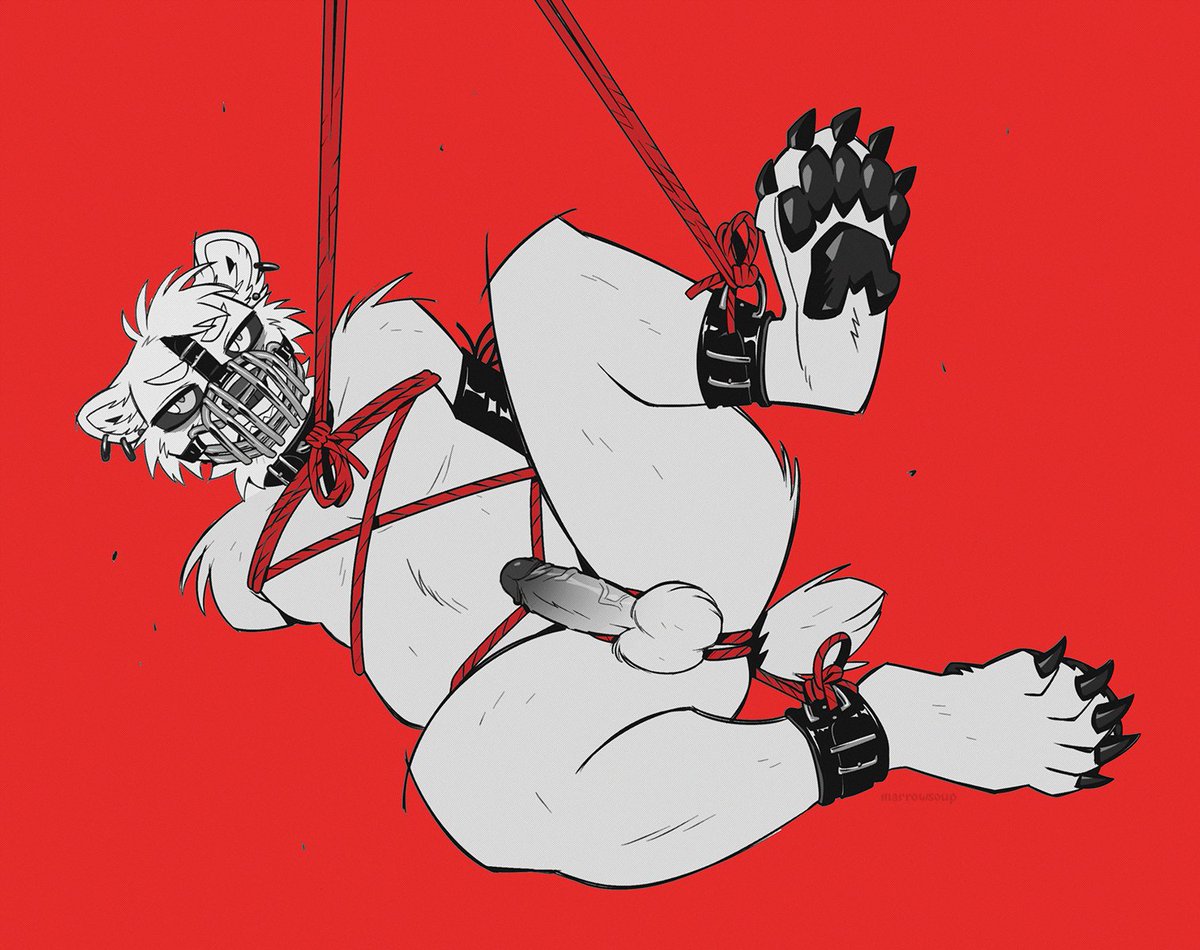 muzzled &amp; bound