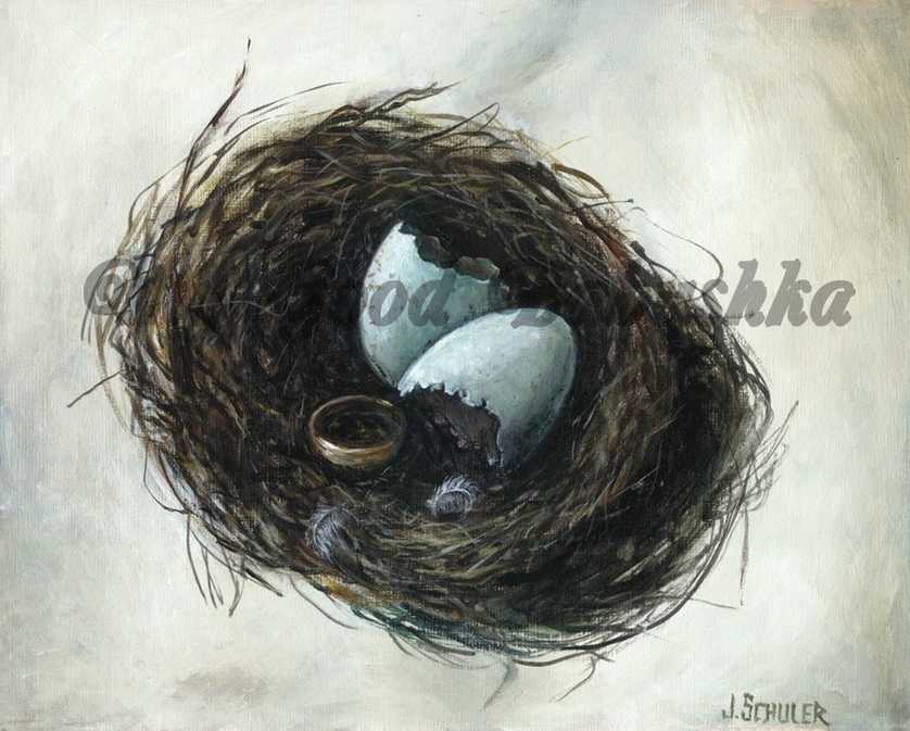 JulieKSchuler's tweet image. Bird's Nest and Gold Ring. Art Print. jschulerart.etsy.com/listing/442915… #artprint #nest #eggshell #goldring #folklore #feather