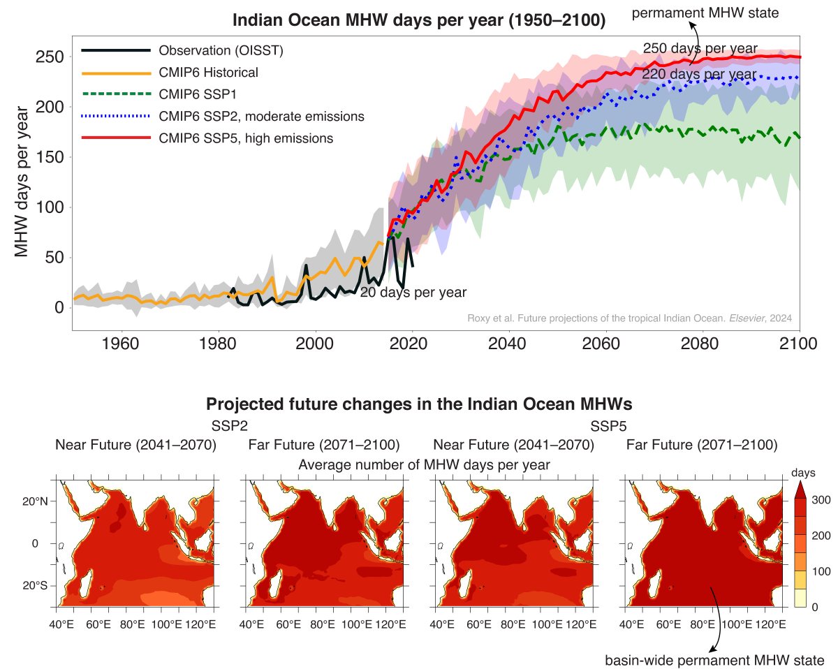 Indian Ocean is moving to a near-permanent marine heatwave state.

Marine heatwaves, periods of extremely high temperatures in the ocean, are expected to increase from 20 days per year to 220–250 days per year.

Read more: climate.rocksea.org/research/futur…