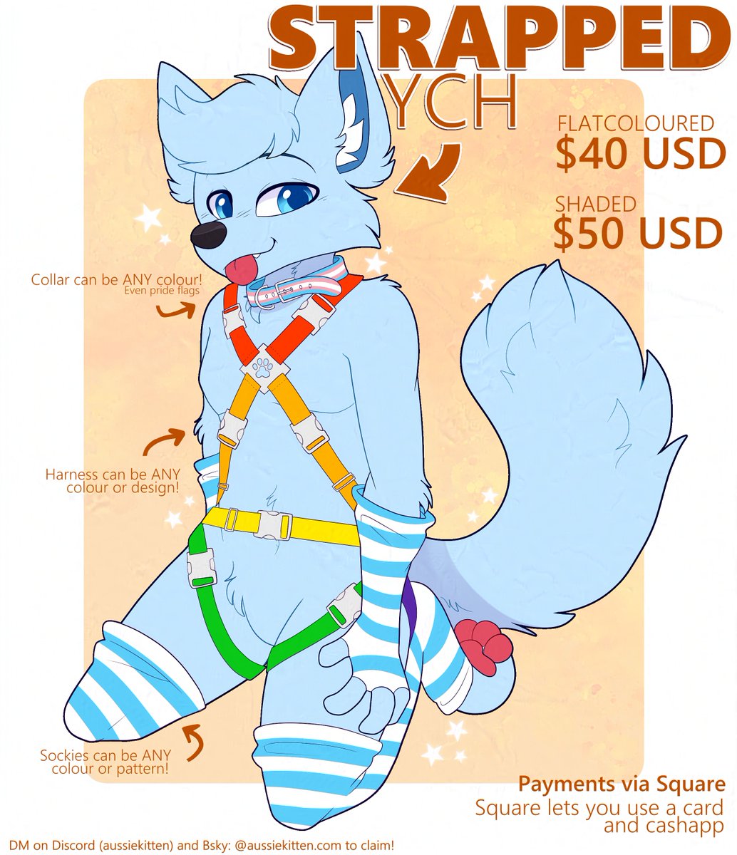 AussieKitten🍂⭐️┇ 🔜 Cheddar Plushies tweet media