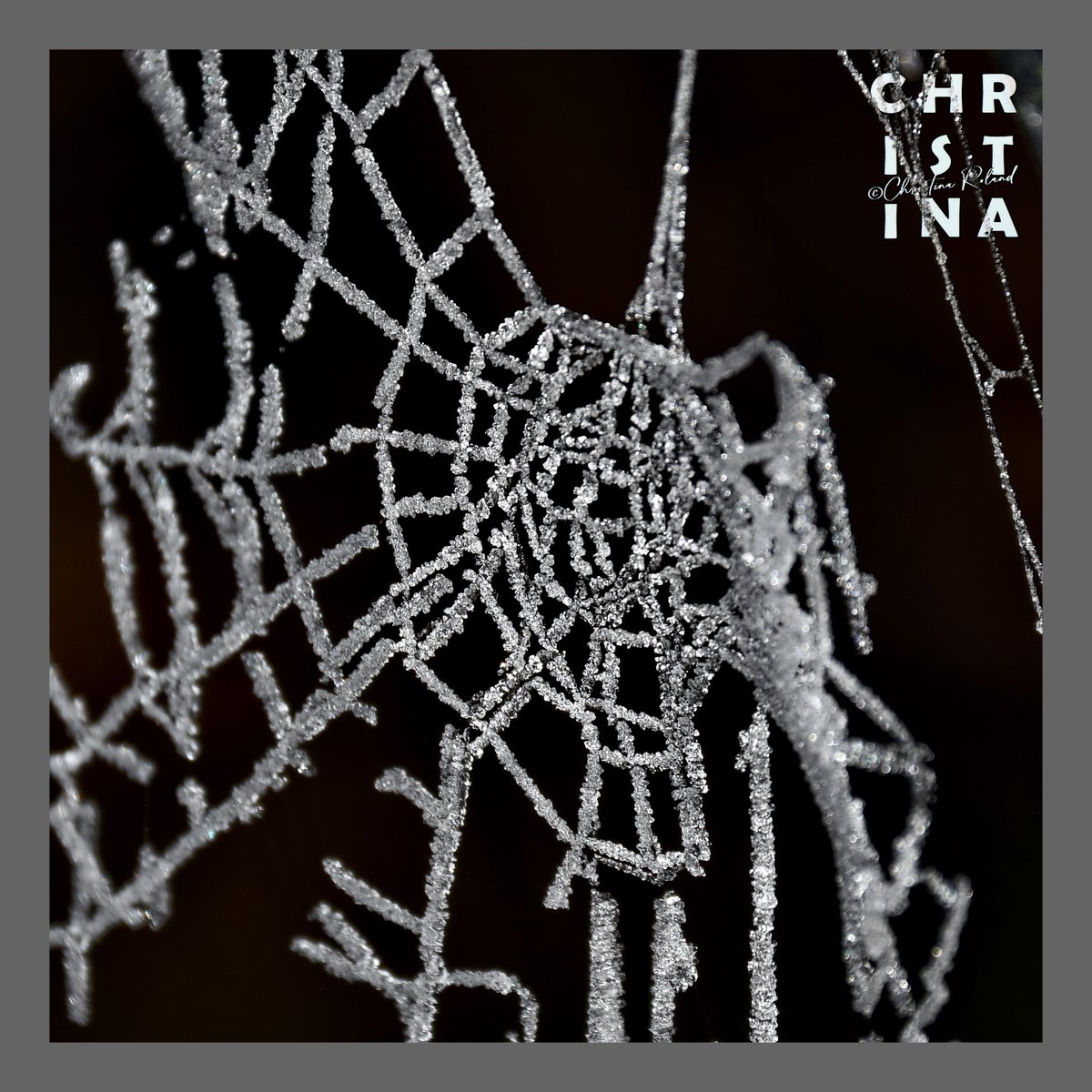 #KleurInDeNatuur dag 27 #Zilver of grijs rgb 100 100 100. Je kunt de kleurstof maken met as.  Zie alt-tekst voor uitleg over de foto