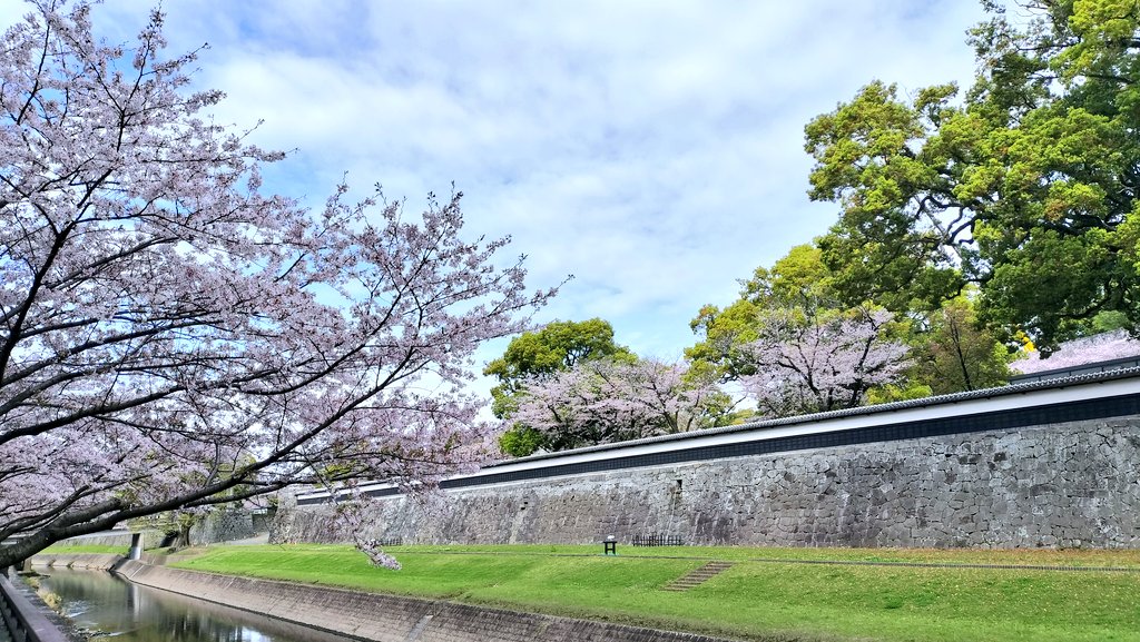 cos2machi's tweet photo. 【告知】
やっと暖かくなってきました
今年も熊本城が一番輝く桜🌸の季節に熊本城コスプレ撮影会を開催します
会場：熊本城天守閣、御幸坂ほか
受付：市民会館２階
日時：3月29日（土）11:00-16:00
募集人数：50人
募集開始：2月28日昼12時
#熊本城コスプレ撮影会 #こすまち
https://t.co/R75RTve1g3 https://t.co/eKmPAcmRls