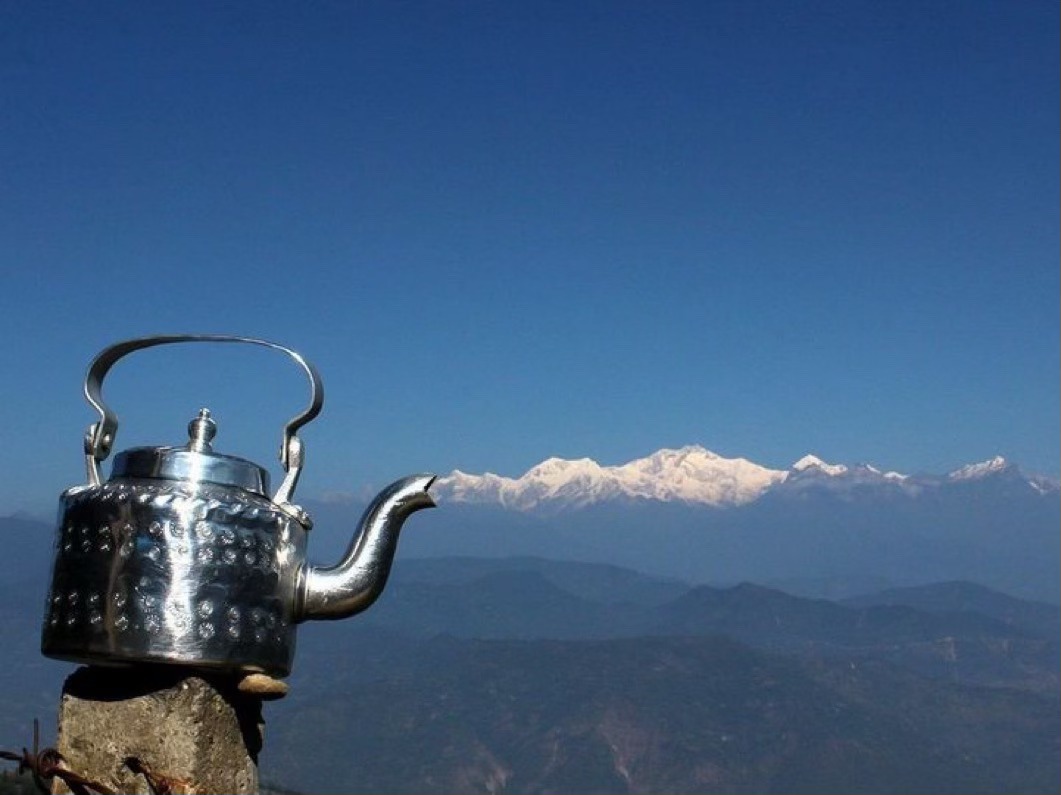 Irena Buzarewicz tweet media