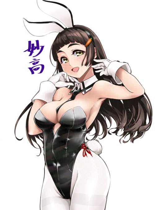 忘れた頃に更新される妙高型🐰 