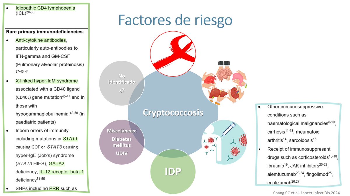 Micro_LaPaz's tweet image. 🖥️ #Sesión: Hoy comentamos un caso de #criptococosis 🥜 en paciente sin factores de riesgo e inmunocompetente y hacemos una revisión de la literatura de la infección por #Cryptococcus 🍄 ¡Gracias por la sesión y enhorabuena como siempre @Pili_Viz 🫶🏻!