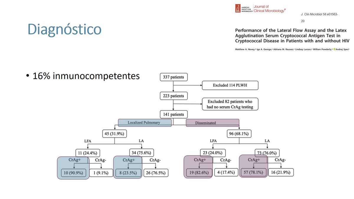 Micro_LaPaz's tweet image. 🖥️ #Sesión: Hoy comentamos un caso de #criptococosis 🥜 en paciente sin factores de riesgo e inmunocompetente y hacemos una revisión de la literatura de la infección por #Cryptococcus 🍄 ¡Gracias por la sesión y enhorabuena como siempre @Pili_Viz 🫶🏻!