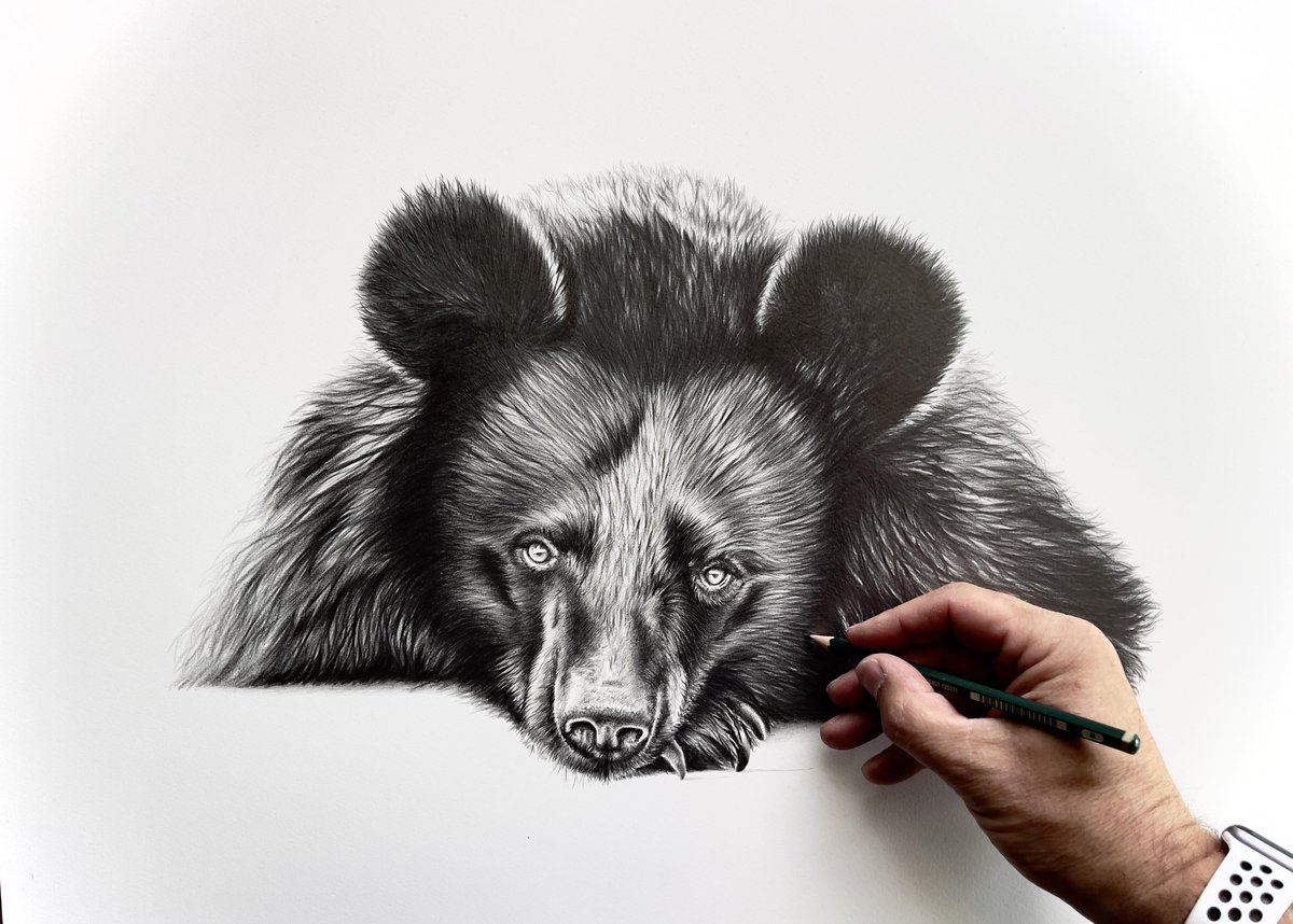 lynne chitty (@hoppityhen) on Twitter photo Remembering Little Pearl on the 2nd Anniversary of her death and celebrating the brilliant work of <a href="/moonbearJill/">Jill Robinson</a> <a href="/AnimalsAsia/">Animals Asia</a> I only have 4 signed LE prints left of LP by <a href="/richwildart/">Richard Symonds</a> signed by <a href="/PeterEgan6/">Peter Egan</a> £100 including UK post comment below to buy thanks
#bears #art 🐻 ❤ Remembering Little Pearl on the 2nd Anniversary of her death and celebrating the brilliant work of <a href="/moonbearJill/">Jill Robinson</a> <a href="/AnimalsAsia/">Animals Asia</a> I only have 4 signed LE prints left of LP by <a href="/richwildart/">Richard Symonds</a> signed by <a href="/PeterEgan6/">Peter Egan</a> £100 including UK post comment below to buy thanks
#bears #art 🐻 ❤