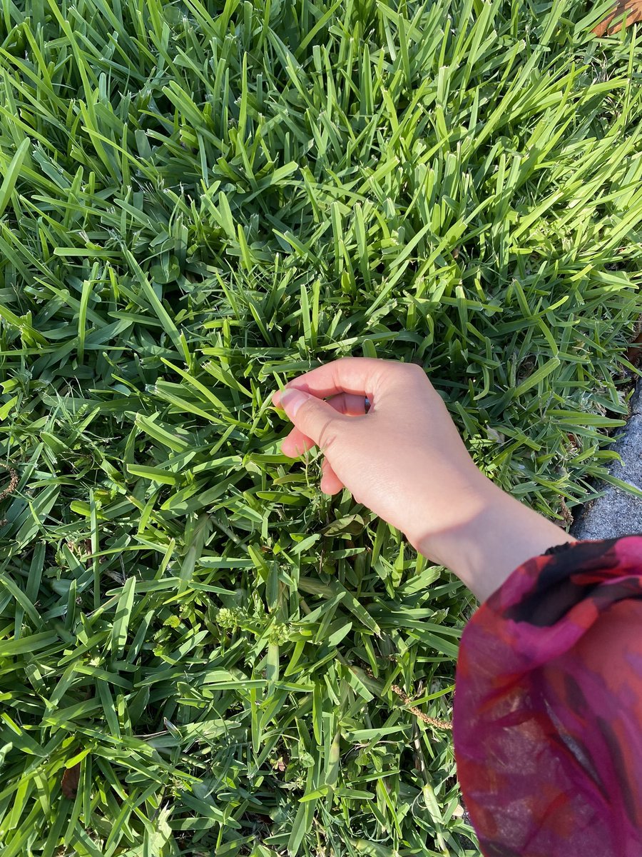 sorry babe not now, i’m touching grass