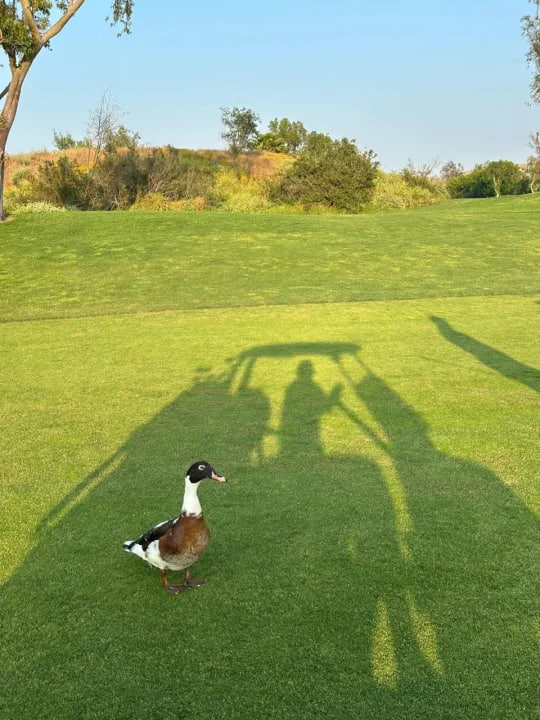 🎈Swing your life and enjoy the beauty of golf🎈