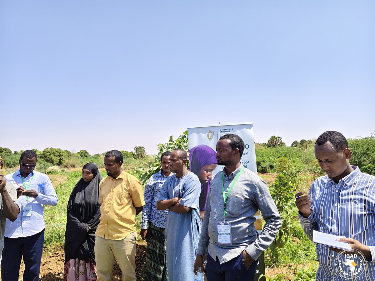 IGADHealthS's tweet image. #IGADHealth

Participants at the ongoing Cross Boarder Learning event on Natural Resource Management on the Hanaano Programme conducted a field visit to witness  how communities are restoring degraded land, improving water access, and adopting climate-smart farming practices, in…