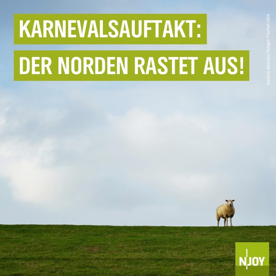 Marco Thiele 🕊🕊🕊 (@marco3thiele) on Twitter photo 