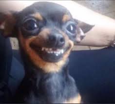 “Don’t cry over spilt milk” mfs when they spill milk