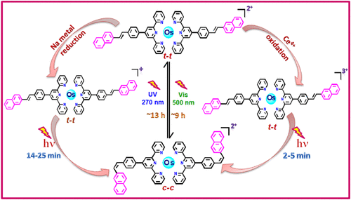 bhkenlo's tweet image. Remarkable Increase in the Rate of Trans–Cis Photoisomerization of Os(II)-Terpyridine Complexes via Oxidation and Reduction | Inorganic Chemistry pubs.acs.org/doi/10.1021/ac… Baitalik and co-workers @InorgChem #osmium #terpy #trans_cis #photoisomerization #redox #NIR