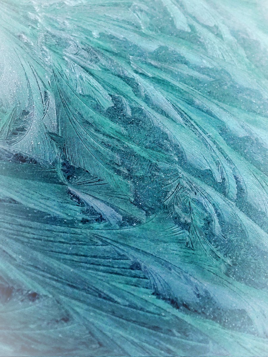 Naturelight0's tweet photo. - Frosty Morning -
#FrostMagic
#WinterWonders
#IcyPatterns https://t.co/umsb9ziXY2