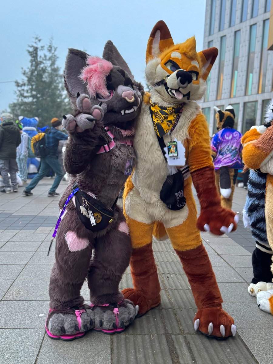π π π π π¦ (@dspa1r_) on Twitter photo <a href="/___Lorem/">honeywhiskers π</a> <a href="/trickytwitch/">BIG FOX BIG FUN π¦β¨</a> <a href="/BARKSQUAD/">de_ruska</a> <a href="/karufizzy/">Fizzark</a> <a href="/Marble_dcollie/">Marble</a> <a href="/Kertinox/">Kertinox</a> MOTHERRRRRβΌοΈ THESE FUCKING SLAP imma miss you so bad π₯ππ
also look at these absolute DIVAS π
π»
πΈ: <a href="/vectorwuff/">Vector Miles High Woofer π</a> <a href="/___Lorem/">honeywhiskers π</a> <a href="/trickytwitch/">BIG FOX BIG FUN π¦β¨</a> <a href="/BARKSQUAD/">de_ruska</a> <a href="/karufizzy/">Fizzark</a> <a href="/Marble_dcollie/">Marble</a> <a href="/Kertinox/">Kertinox</a> MOTHERRRRRβΌοΈ THESE FUCKING SLAP imma miss you so bad π₯ππ
also look at these absolute DIVAS π
π»
πΈ: <a href="/vectorwuff/">Vector Miles High Woofer π</a>
