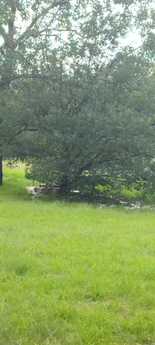 Sewage gushing out of manhole in Delta Park. Very very bad. People are going to get sick. By Leighton Rd and Rd no. 5. <a href="/JHBWater/">Johannesburg Water</a>