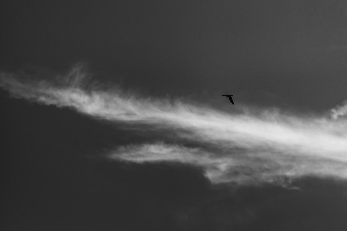 Yabancıyım, uyumsuz, sıkılgan ve eğreti....