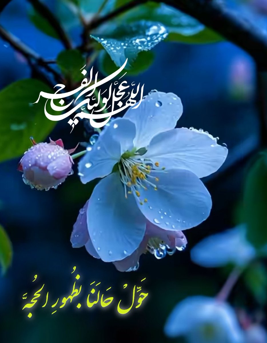 sa_pry23195's tweet image. «حَوِّلْ حَالَنَا بظُهورِ الحُجهَّ»
- که در پناه تو آواز رازها جاریست
و در کنار تو بوی بهار میآید...
#اللهم_عجل_لولیک_الفرج
#استغاثه