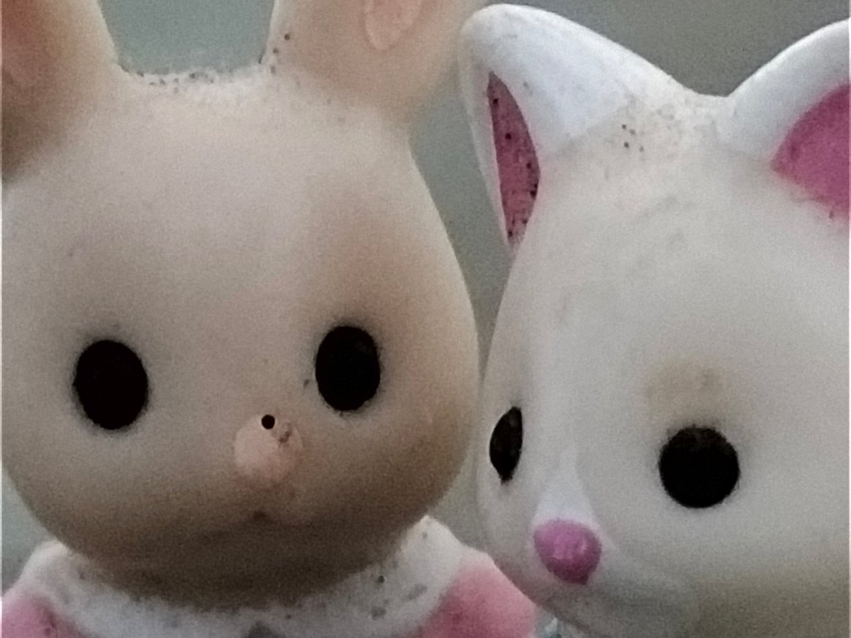 竹美 तकेमी తకెమి 다케미 tweet media