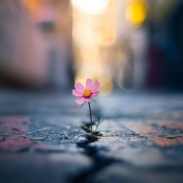 Dicen que la vida siempre encuentra la manera, y creo que no hay mejor ejemplo que las flores que rompen el pavimento. Ahí están, creciendo,donde nadie pensó que podrían. Es como si le dijeran al mundo:“𝐀𝐪𝐮𝐢́ 𝐞𝐬𝐭𝐨𝐲, 𝐚 𝐩𝐞𝐬𝐚𝐫 𝐝𝐞 𝐭𝐨𝐝𝐨”.
 Alan Reyes
#FelizJueves