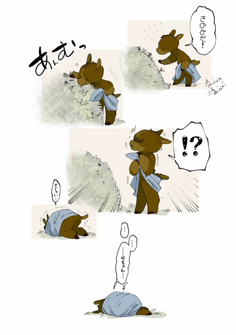 木の実 