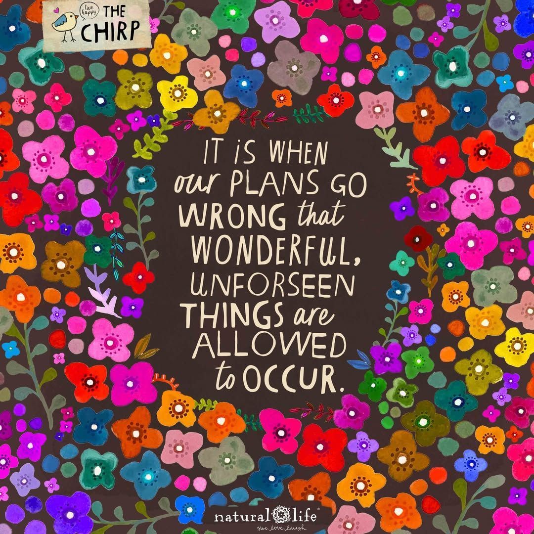 TheMonasteryMcr's tweet photo. Because what seems like plans 'going wrong' can sometimes lead (a little further down the road) to a better plan we couldn't have even invented... ✨
🙏 to @Natural_Life for today's wisdom 👌 💖
#InTheFlow #AttitudeOfGratitude #ThoughtfulThursday https://t.co/7eqEiaMB2Z