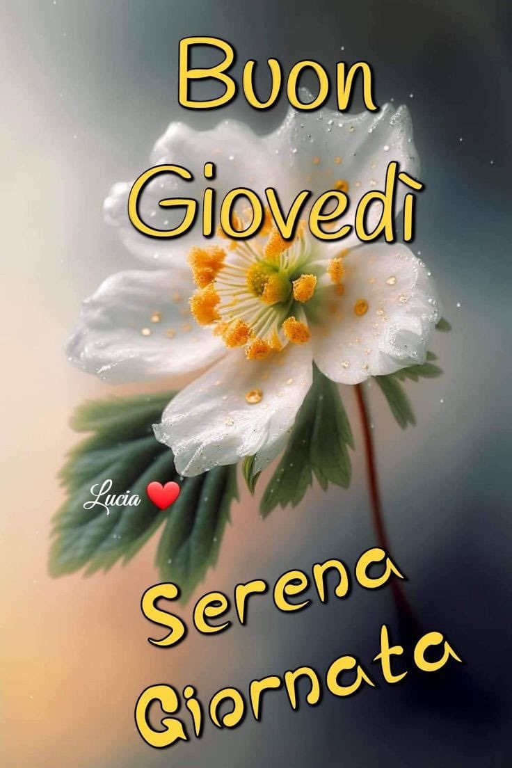 RITABIANCHi56 tweet media