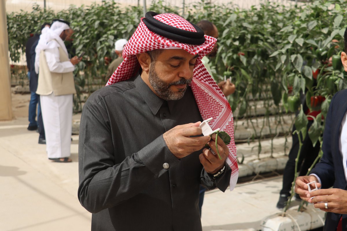 NAAAS Holding Group tweet media