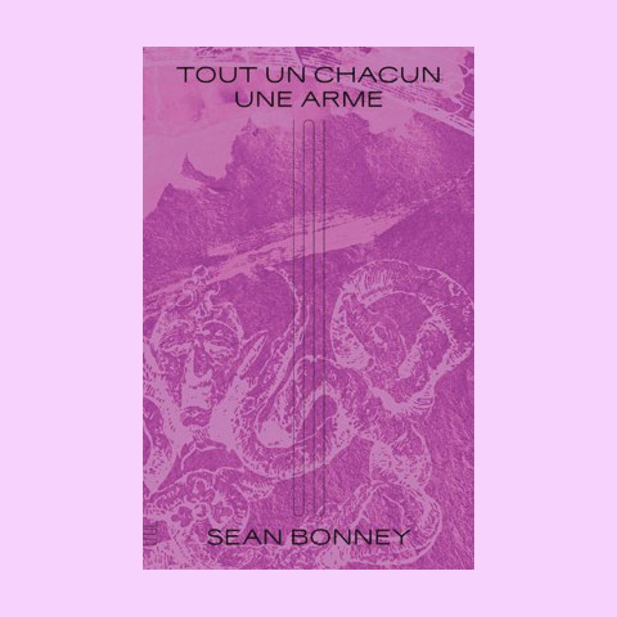 ★ Sean BONNEY
_Tout un chacun une arme
Lettres contre le firmament et autres textes_
Sans soleil

hobo-diffusion.com/catalogue/9782…
#livre #lecture #poesie