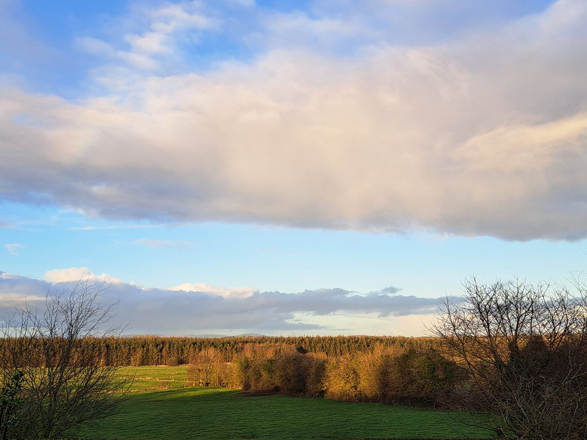 V_35_bw_'s tweet image. It is but another day,
February 2025
(never think you are too important)
#JustAnotherDay