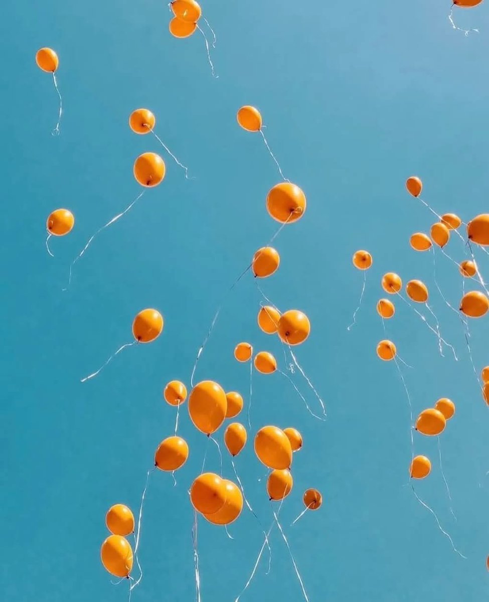 Anne-Caroline Tanguy (@anecaro) on Twitter photo 