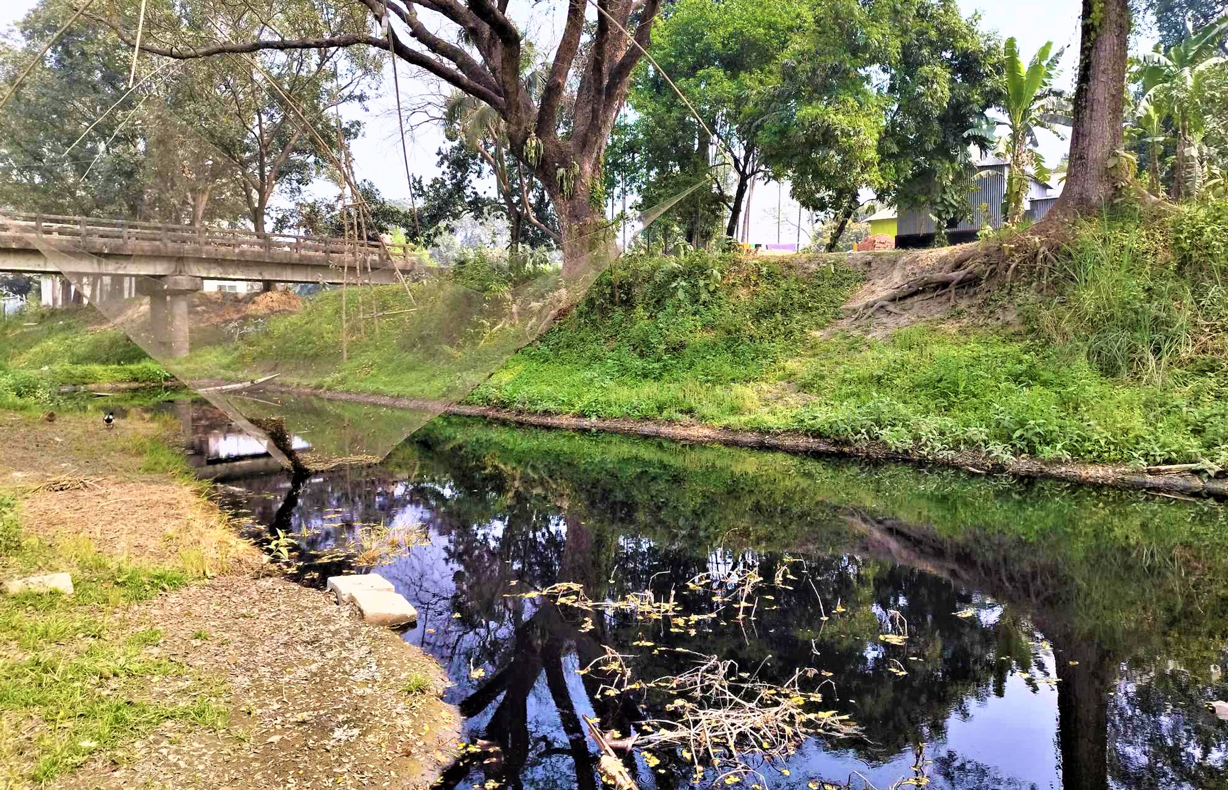 রাসায়নিক শিল্পবর্জ্যে দূষিত হচ্ছে নদী-খাল