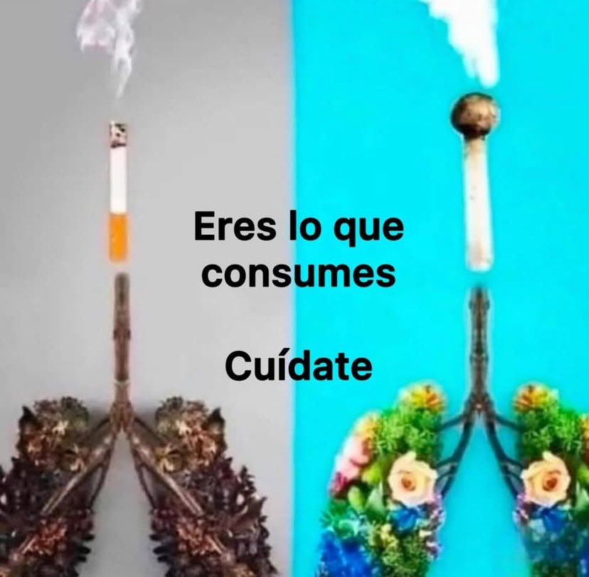 candr𝕏s (@candrxs) on Twitter photo 