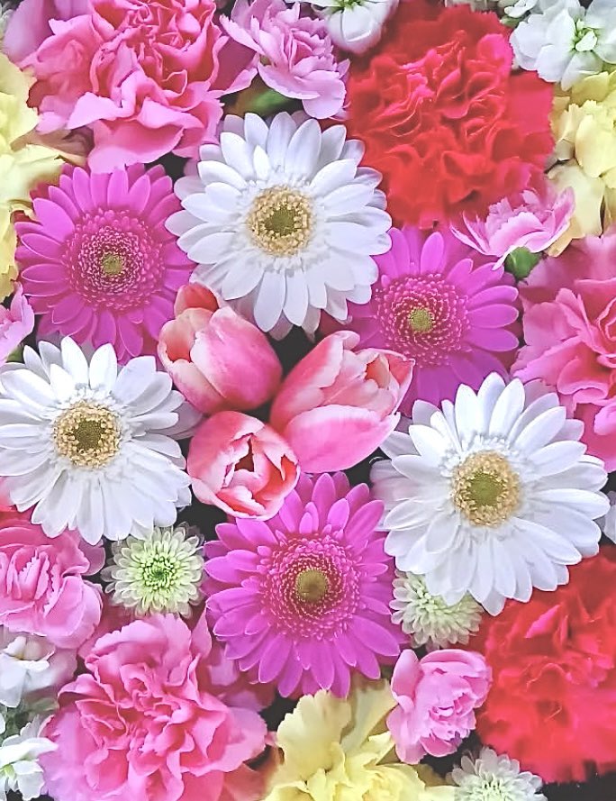 Tantan8325's tweet image. “A symphony of blossoms floating on tranquil waters"
I feel like the flowers are singing 🎶
"Hanachozu“ is in Shrines and elsewhere where various flowers are floated in a water basin (used for purification before worship) 🇯🇵
I like it because we can enjoy seasonal flowers.