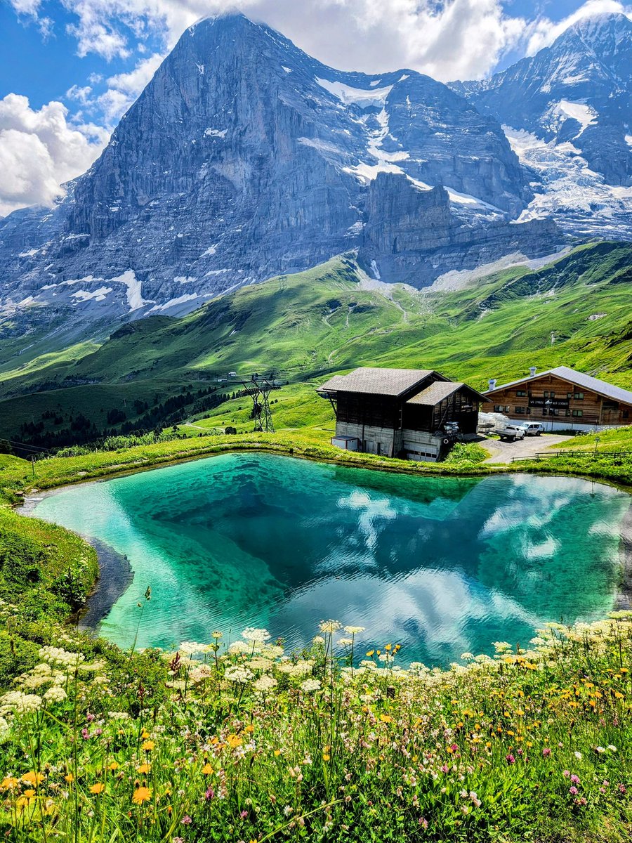 The mighty Eiger Nordwand, the largest north face in the Alps! 🇨🇭