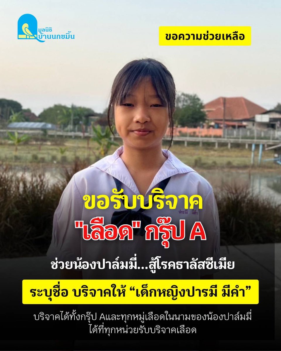 “มีเรื่องหนักใจจะบอก”
🙏ขอพี่ๆชาวเลือดกรุ๊ป A 
ช่วยน้องด้วยเถอะครับ 🩸

ร่วมบริจาคโลหิต ระบุชื่อให้กับ
เด็กหญิงปารมี มีคำ โรงพยาบาลนครพิงค์ จ.เชียงใหม่        
ท่านสามารถบริจาคเลือดให้น้องได้ที่                 
ศูนย์บริจาคโลหิตแห่งชาติ สภากาชาดไทย โรงพยาบาล