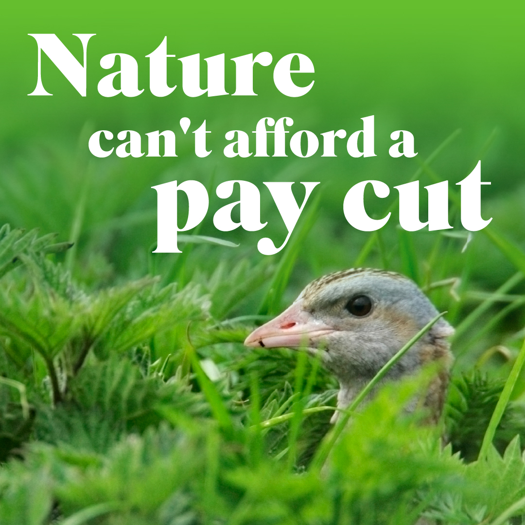 WWT (@wwtworldwide) on Twitter photo Working with farmers is the best chance we have of restoring wetlands and protecting wildlife. š±
ā ļøBut natureās biggest funding pot ā the farming budget ā is at risk. ā ļø
š¢ Join <a href="/Natures_Voice/">RSPB</a> in telling the Chancellor nature canāt afford a pay cut: action.rspb.org.uk/page/156168/pe⦠Working with farmers is the best chance we have of restoring wetlands and protecting wildlife. š±
ā ļøBut natureās biggest funding pot ā the farming budget ā is at risk. ā ļø
š¢ Join <a href="/Natures_Voice/">RSPB</a> in telling the Chancellor nature canāt afford a pay cut: action.rspb.org.uk/page/156168/peā¦