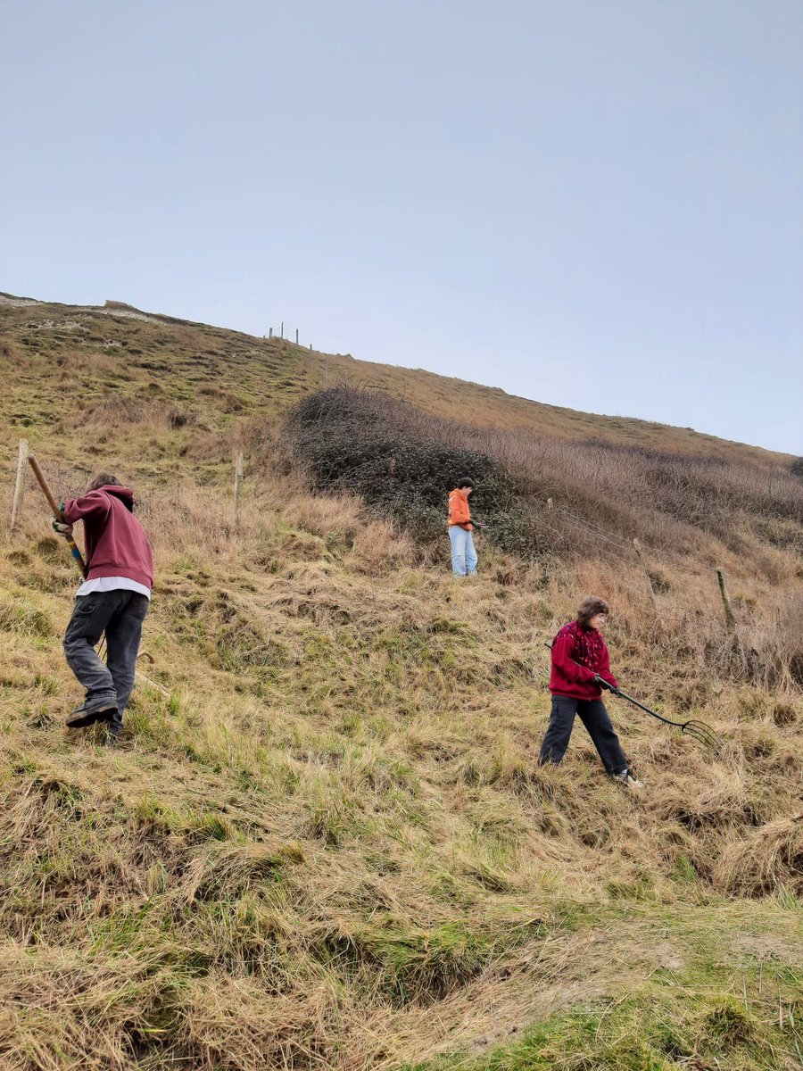 South Downs Youth Action!

Join us on Saturday 8th of March at Seven Sisters Country Park for a day of meadow management.

Working together to improve biodiversity on the park using traditional hand tools.

Sign up here:  buff.ly/4bjYIJi