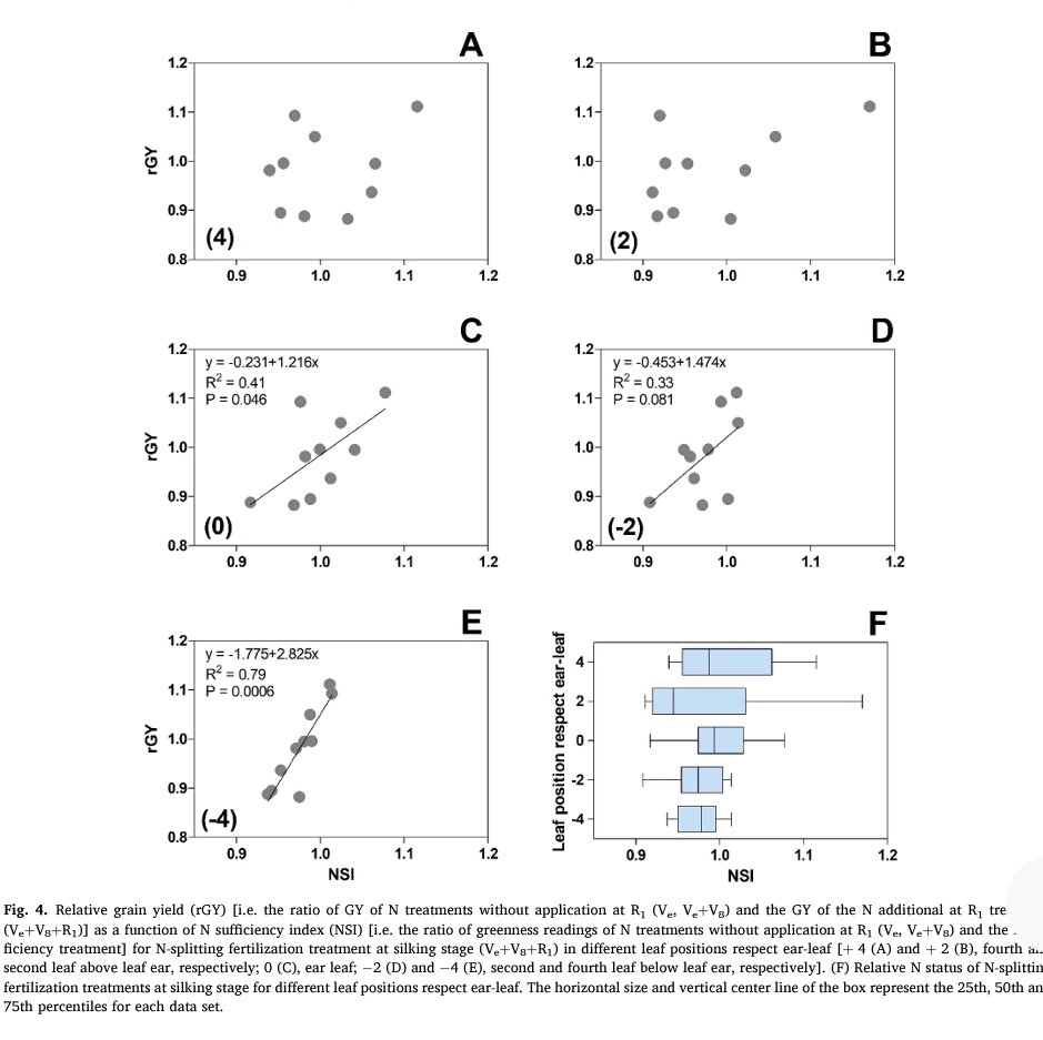 🚨La Bala de Plata en 🌽🌽: NITRÓGENO 
Podemos monitorear en floración?
Es lo mismo cualquier hoja/estrato?
Podemos predecir la respuesta a aplicación tardía?
Eso y mucho más👇. Gran equipo <a href="/Maltese_Nico/">Nicolas Maltese</a> <a href="/OctavioCaviglia/">Octavio Caviglia</a> <a href="/WalterCarciochi/">Walter Carciochi</a> Iglesias 
Nutrición Basada en Evidencias