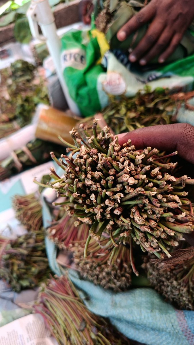 <a href="/DaviesKinanga/">Here we go!</a> Meru