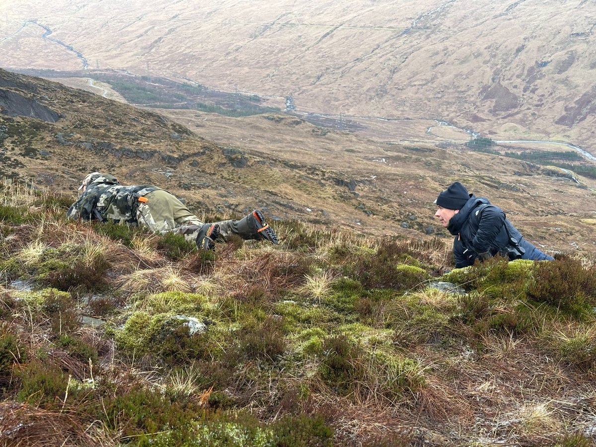 Scot Gov Rural tweet media