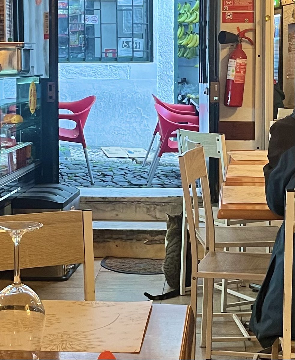 Jane Fallon tweet media